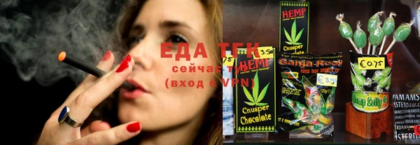 гидра Вяземский