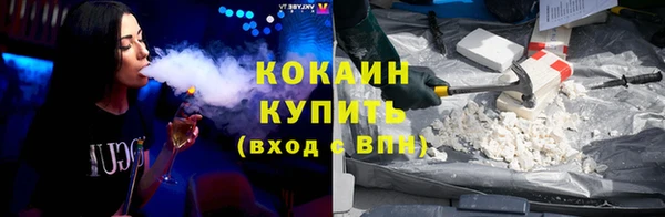 гидра Вяземский