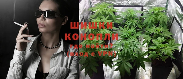 гидра Вяземский