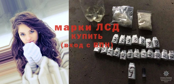 гидра Вяземский