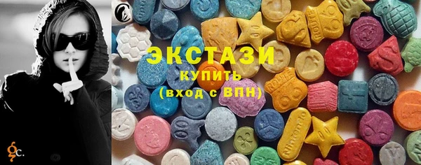 гидра Вяземский