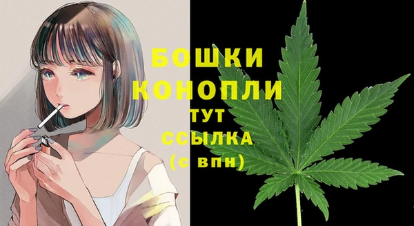 гидра Вяземский