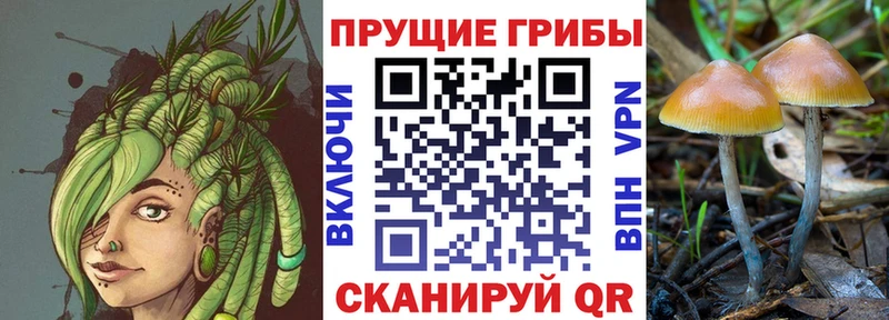 закладки  нарко площадка Telegram  blacksprut как зайти  Псилоцибиновые грибы Magic Shrooms  Петушки 